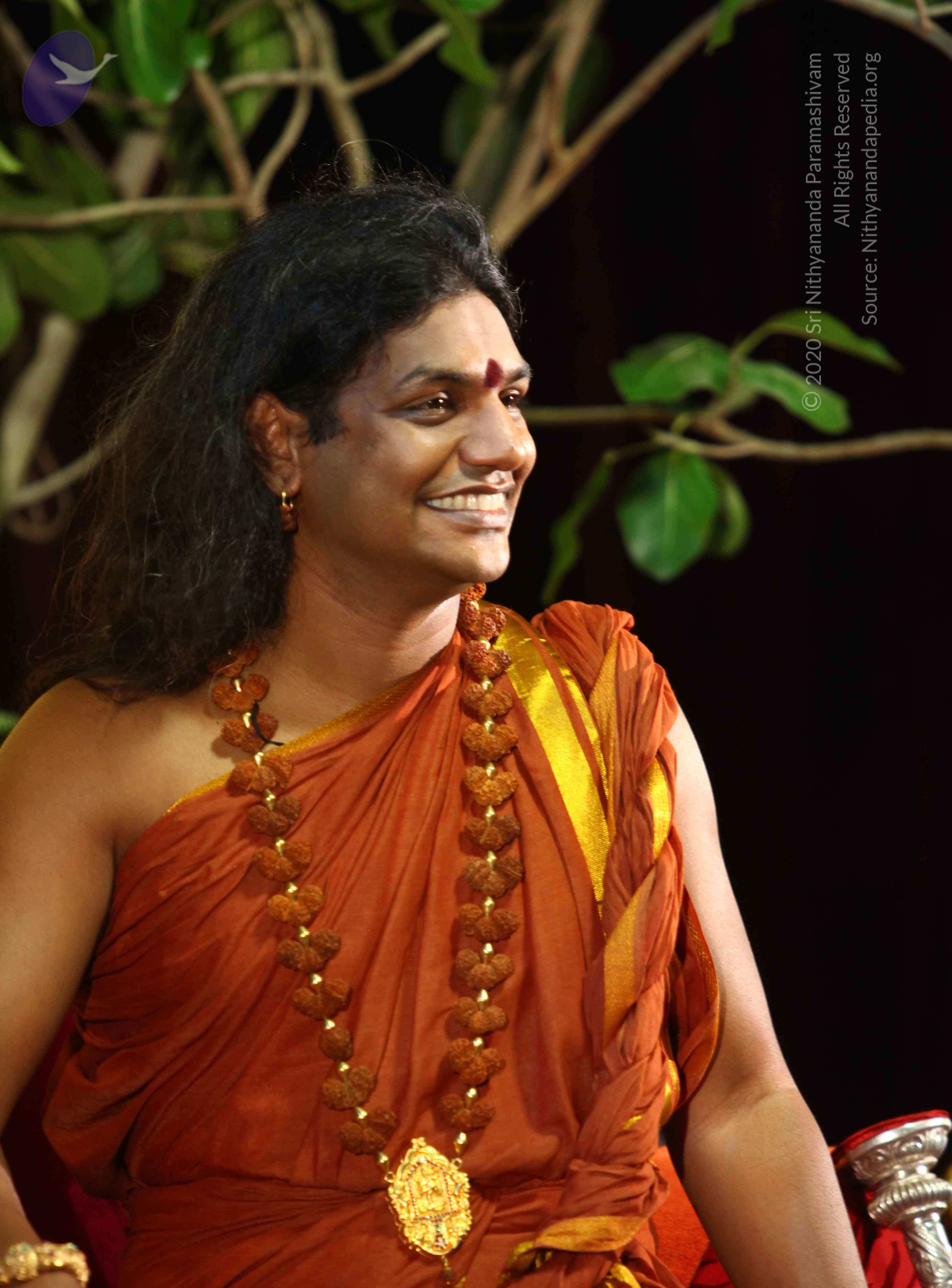 IMG_2052_CMP_WM Done